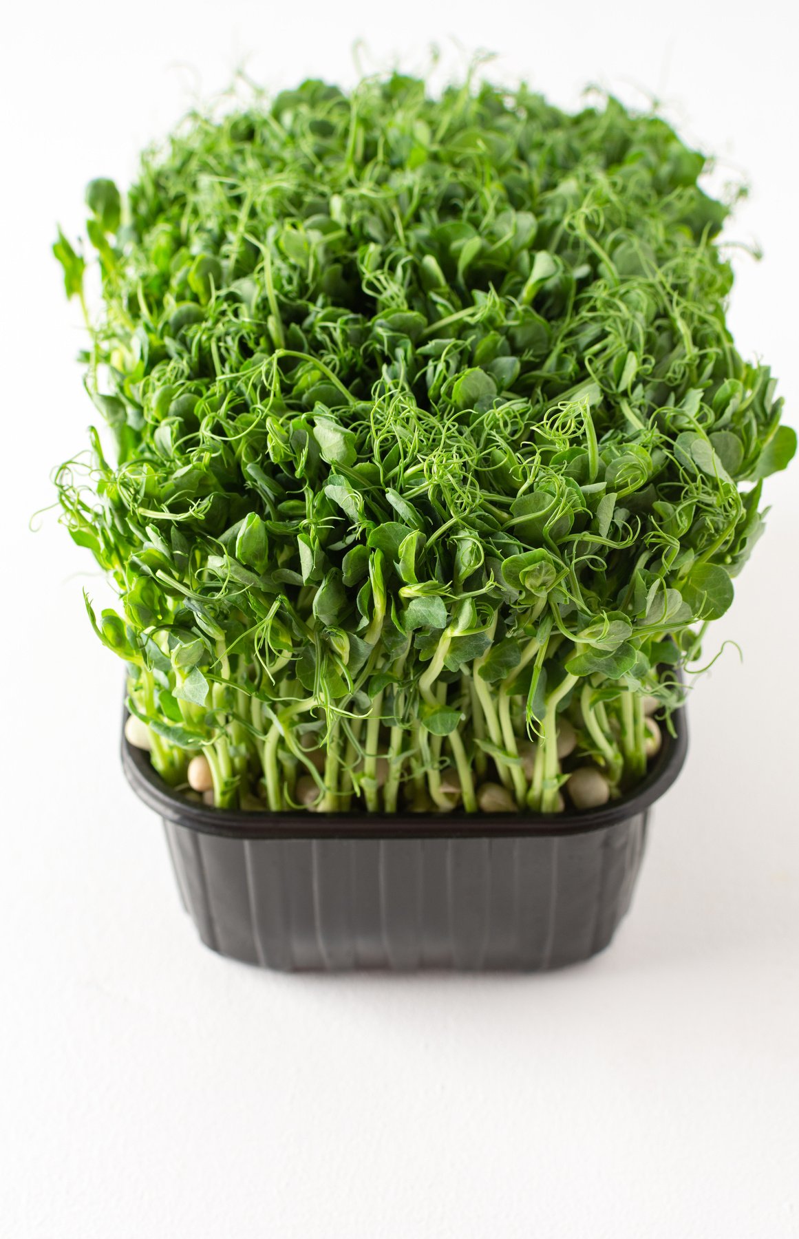 Useful Microgreens Sprouted Peas Cutout